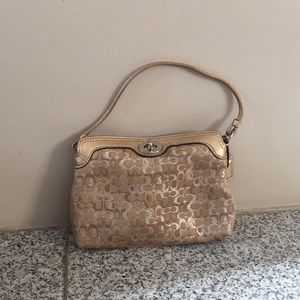 Gold and Silver Coach Cloth Bag